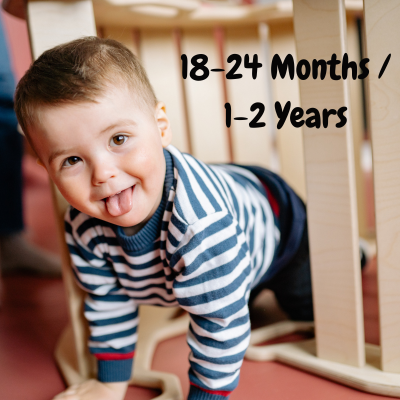 18-24 Months
